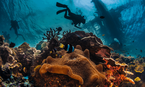 buceo de aventura