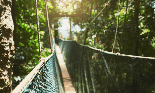 canopy aventura