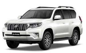 Avis Rent a Car