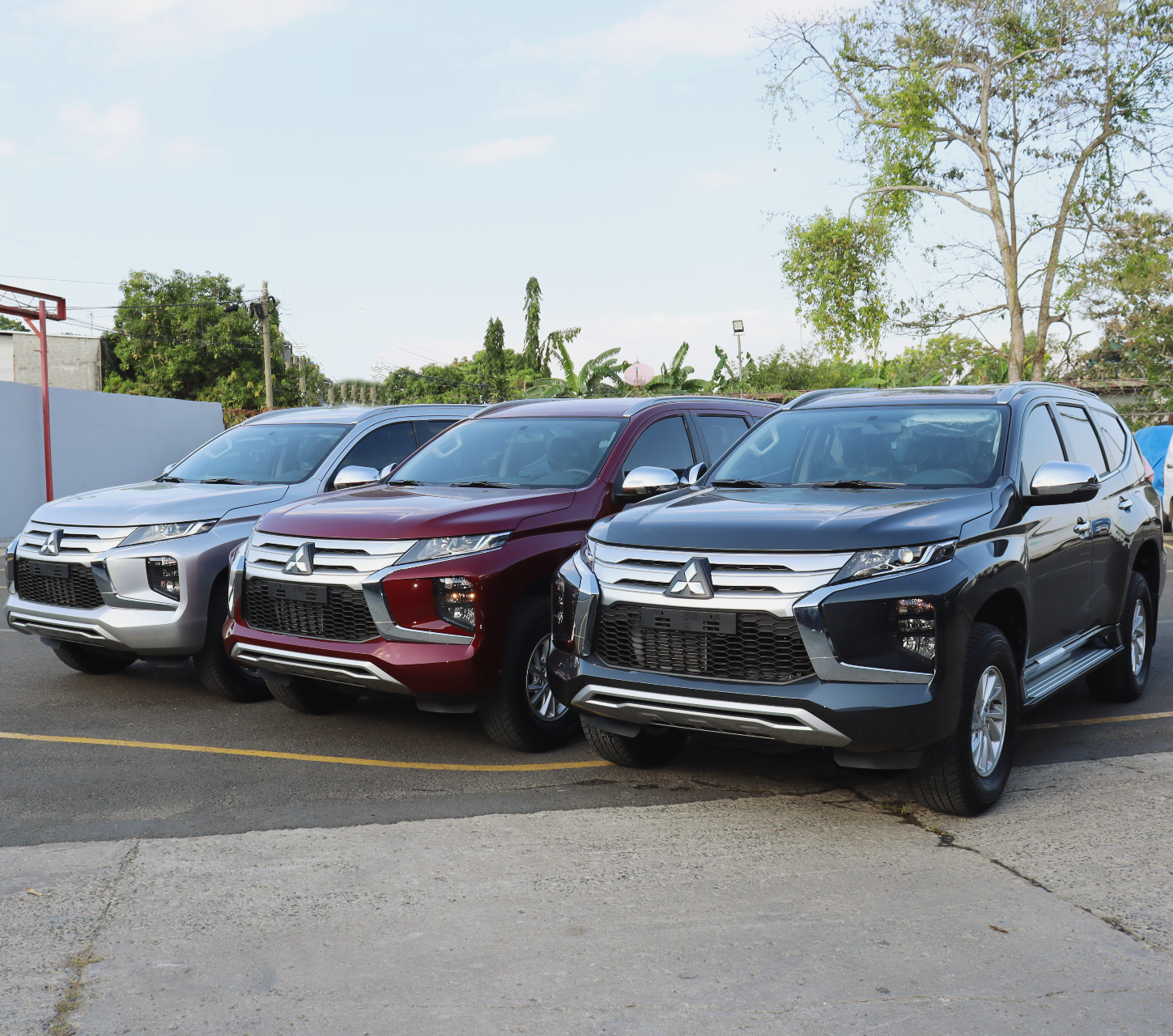 Avis Rent a Car