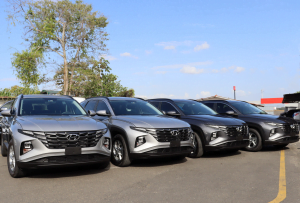 Avis Rent a Car